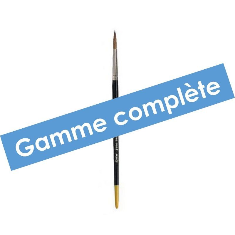 Gamme complète Pinceau martre Série 200