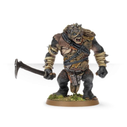 Hill Troll Chieftain Buhrdûr