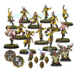 Équipe de Blood Bowl...